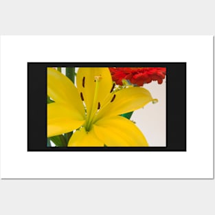Yellow Lily Posters and Art